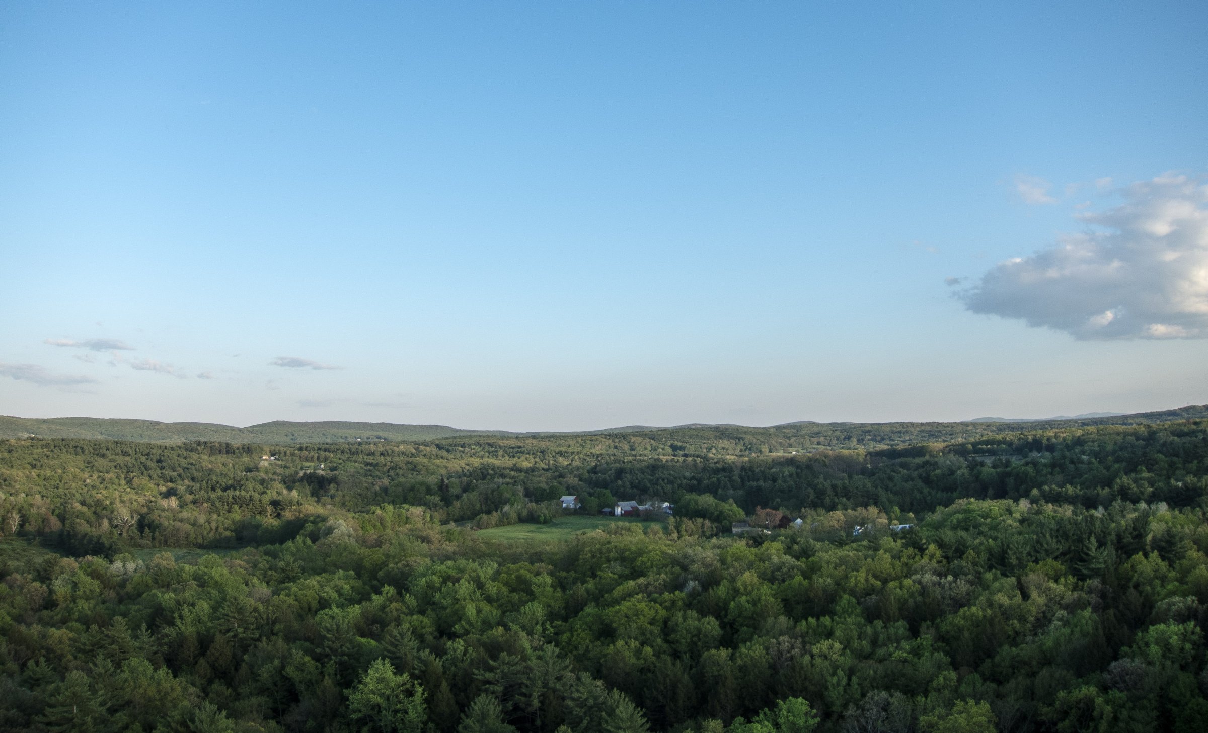 CRW_0594.jpg