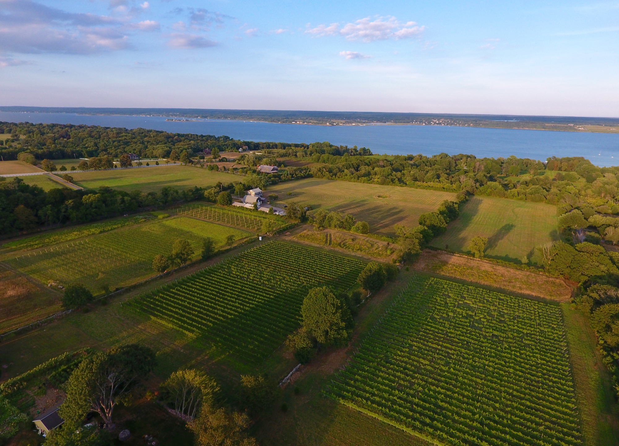 DJI_0143.jpg