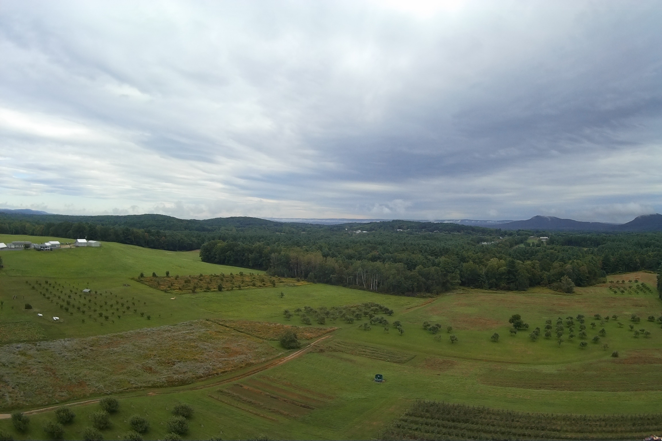 IMAG0061.jpg