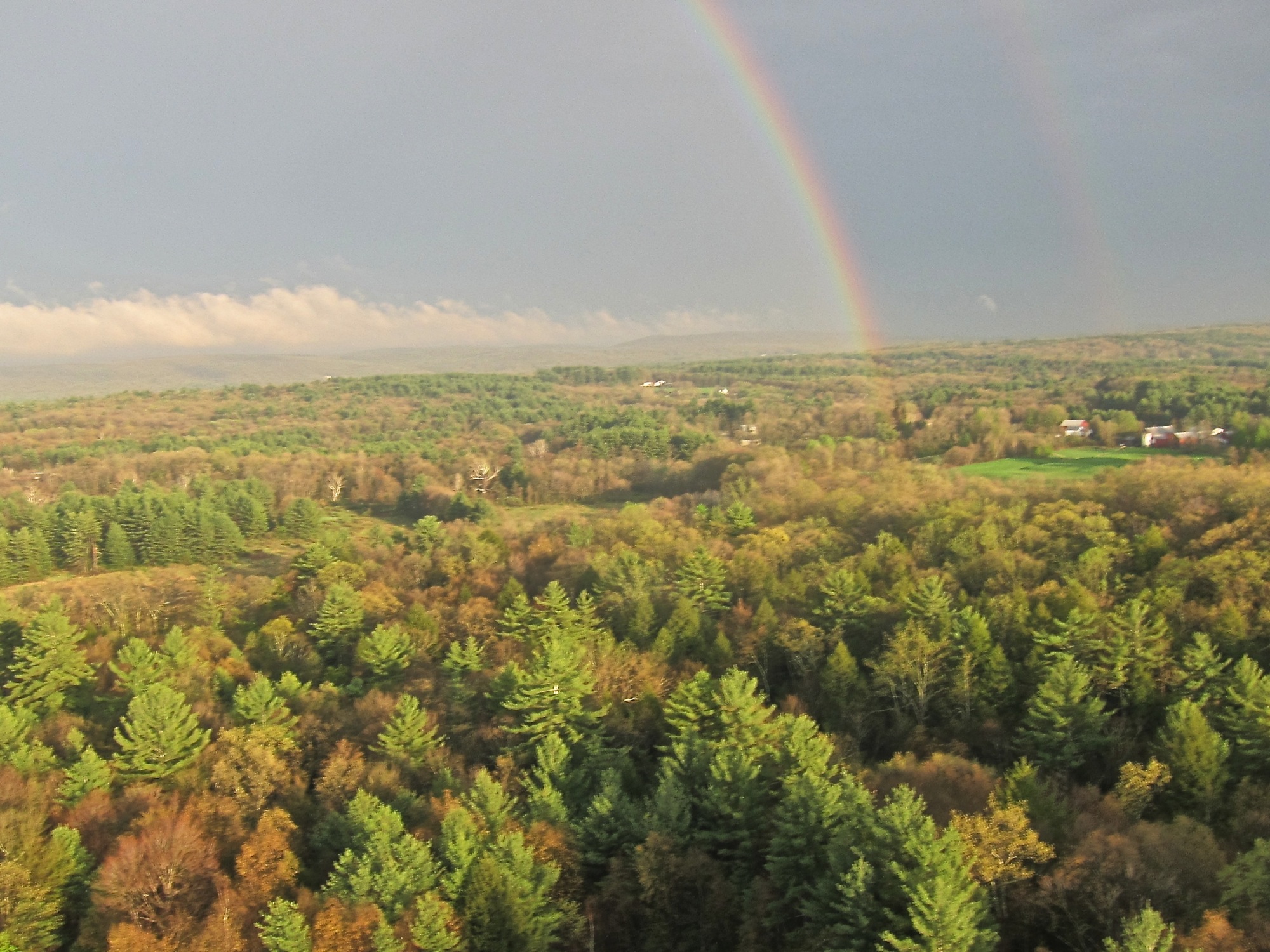 rainbow.jpg
