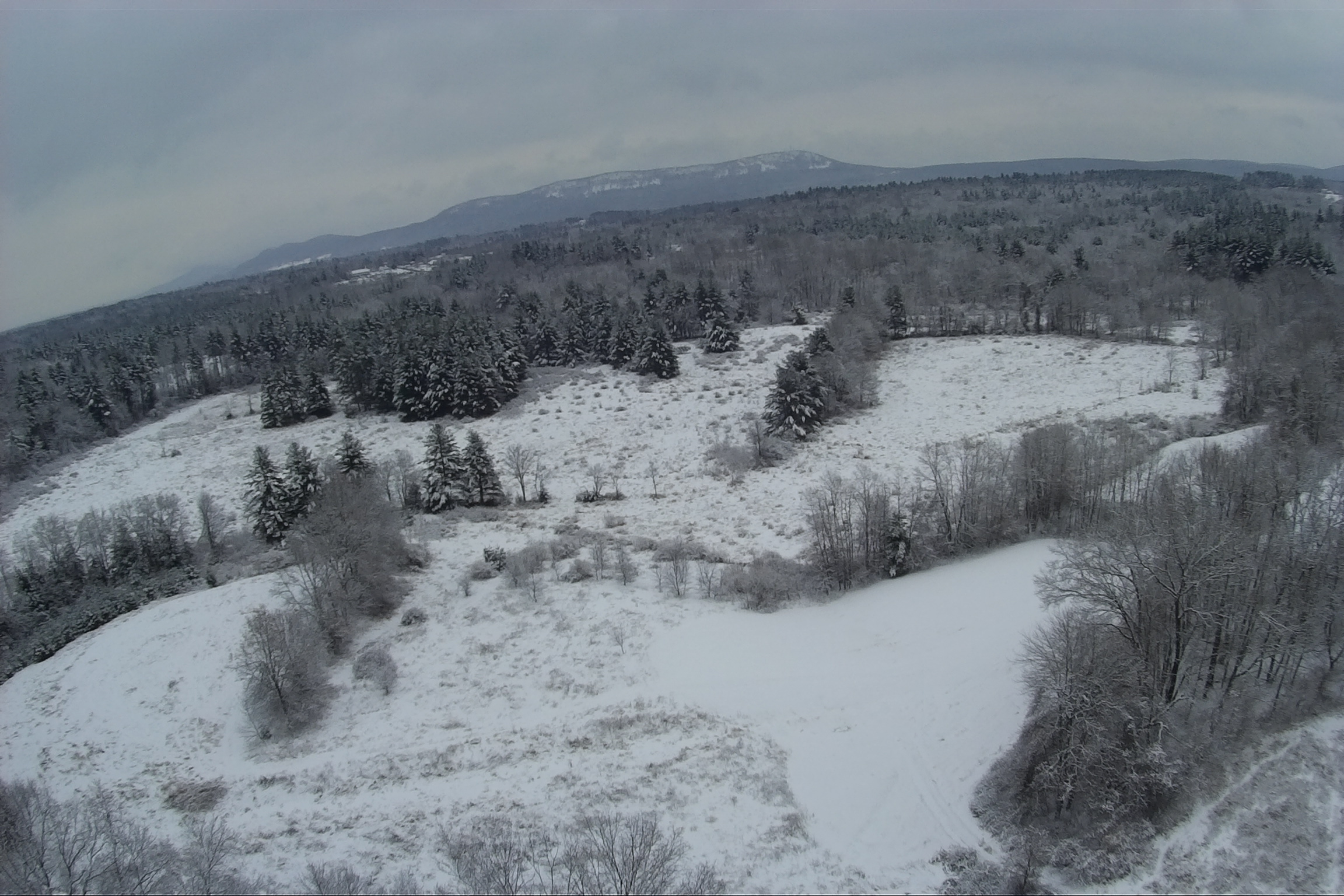snowquad5.JPG