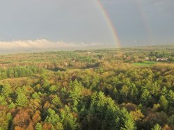 IMG_0299.jpg