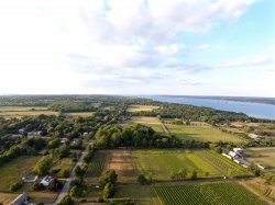 DJI_0128.jpg