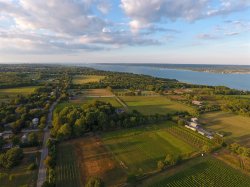 DJI_0163.jpg