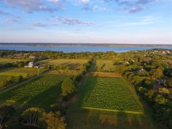DJI_0167.jpg