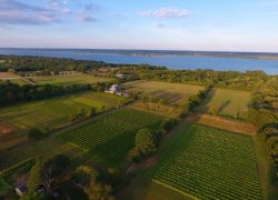 DJI_0143.jpg