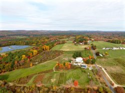 DJI_0051.jpg