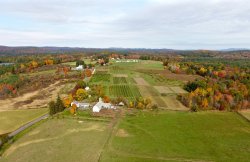 DJI_0069.jpg