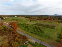 DJI_0094.jpg