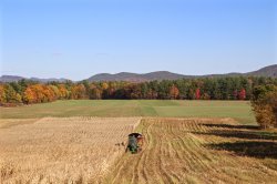 IMG_3375.jpg