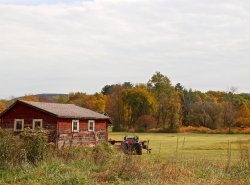 IMG_3401.jpg