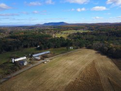 DJI_0133.jpg
