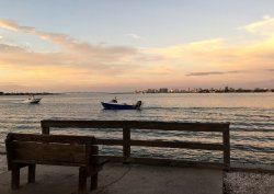 IMG_7325.jpg
