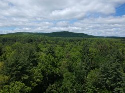 DJI_0090sm.jpg