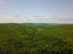 DJI_0020.jpg
